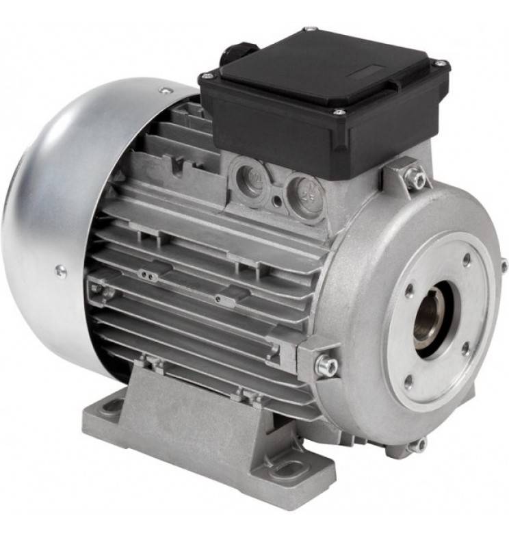 Electric Motors for Pressure Washers